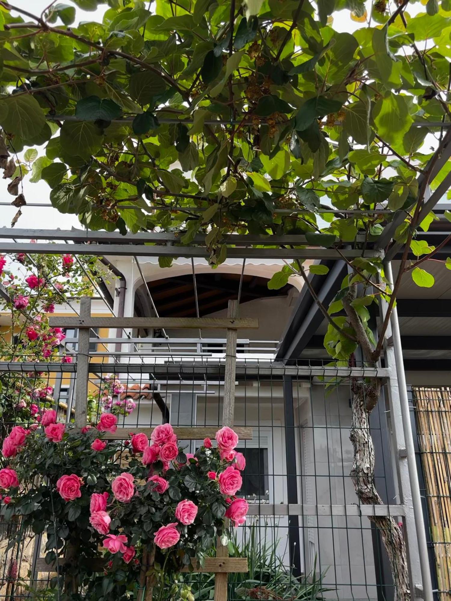 Apartmani Rozi อูมัค ภายนอก รูปภาพ